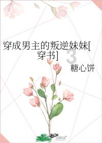 组装机械警暴龙2