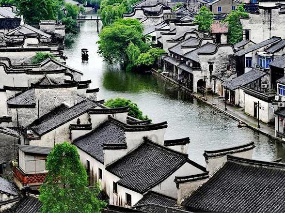 虫虫助手下载